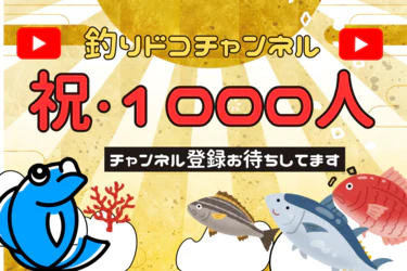 【祝】釣りドコYoutubeチャンネル会員数1000人突破