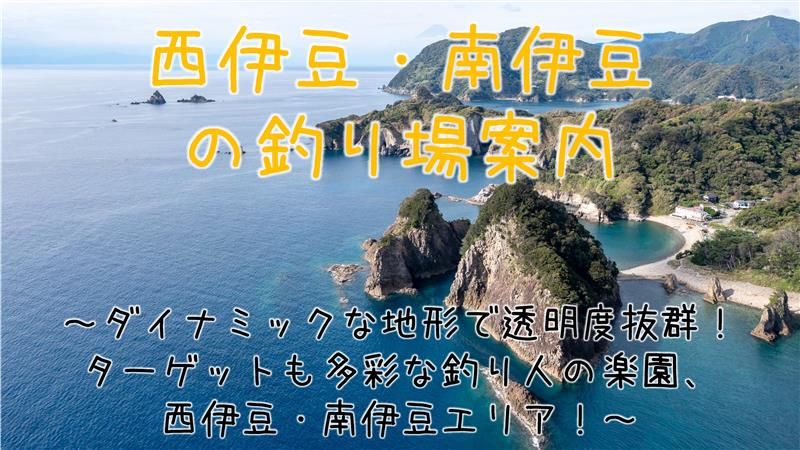 西伊豆・南伊豆エリアの釣り場まとめ
