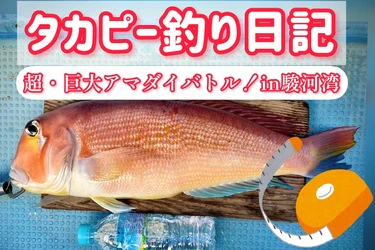 【前編】超巨大アマダイ釣行＆お料理レポート＠田子の浦港第五裕丸