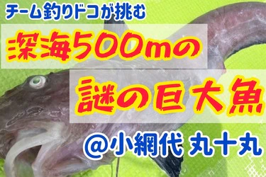 釣りドコ深海魚ハンター！目指せ高級魚！＠小網代丸十丸