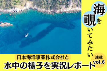 【連載6】海の中を覗いてみたい!Vol.6 実際の海中調査レポートを報告