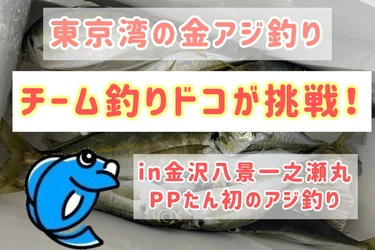 【初心者】東京湾で金アジを釣りに挑戦！一之瀬丸in金沢八景