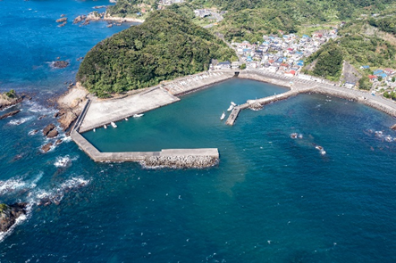 南伊豆釣り場紹介~南伊豆町エリア~ 大瀬港(おおせこう)空撮写真