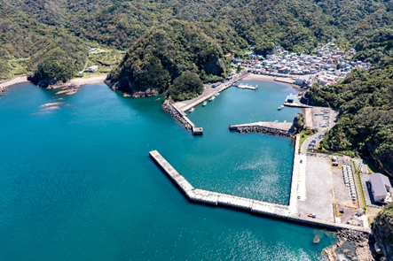 南伊豆の釣り場案内~南伊豆町エリア~ 妻良港(めらこう)空撮写真