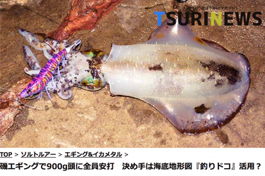 TSURINEWSへの記事掲載のお知らせ