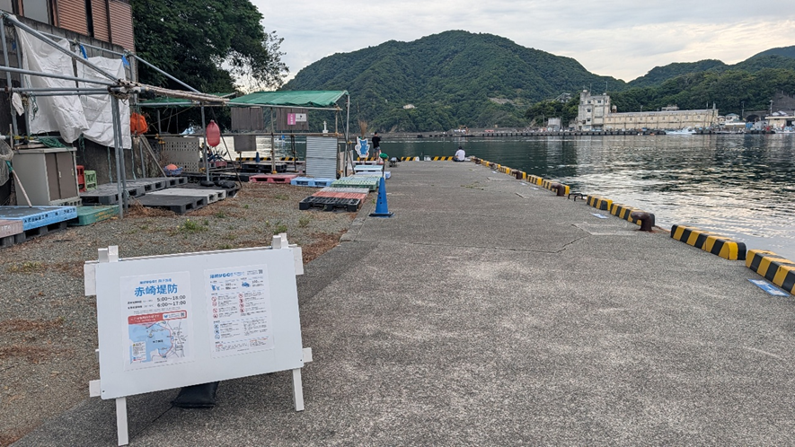 釣りドコ ブログ ごっとりくんの釣り日記　釣り場を予約できる？漁港で安心して釣りが楽しめる「海釣りGO」を利用してみた件　～釣行編～　田子漁港　釣り場　
写真