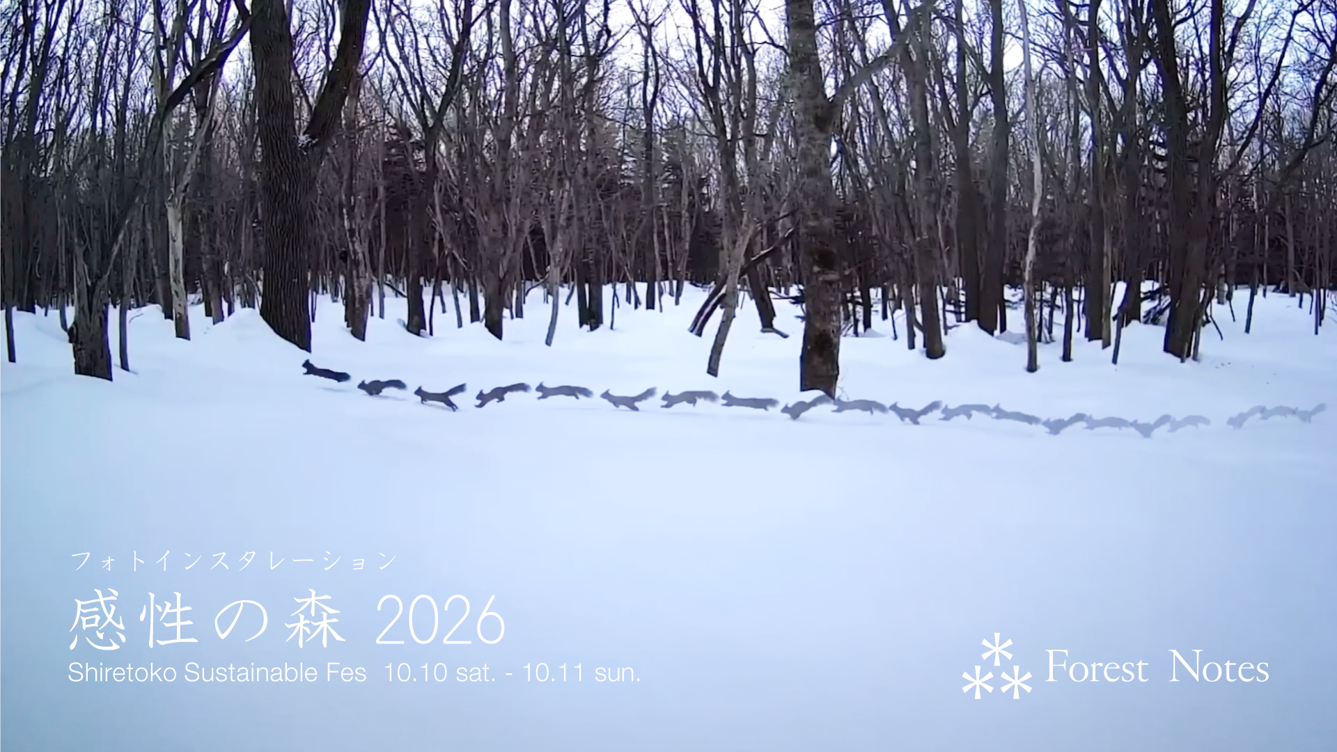 感性の森 2026 #SHIRETOKO　～知床サスティナブルフェス2026 参加のお知らせ～																		