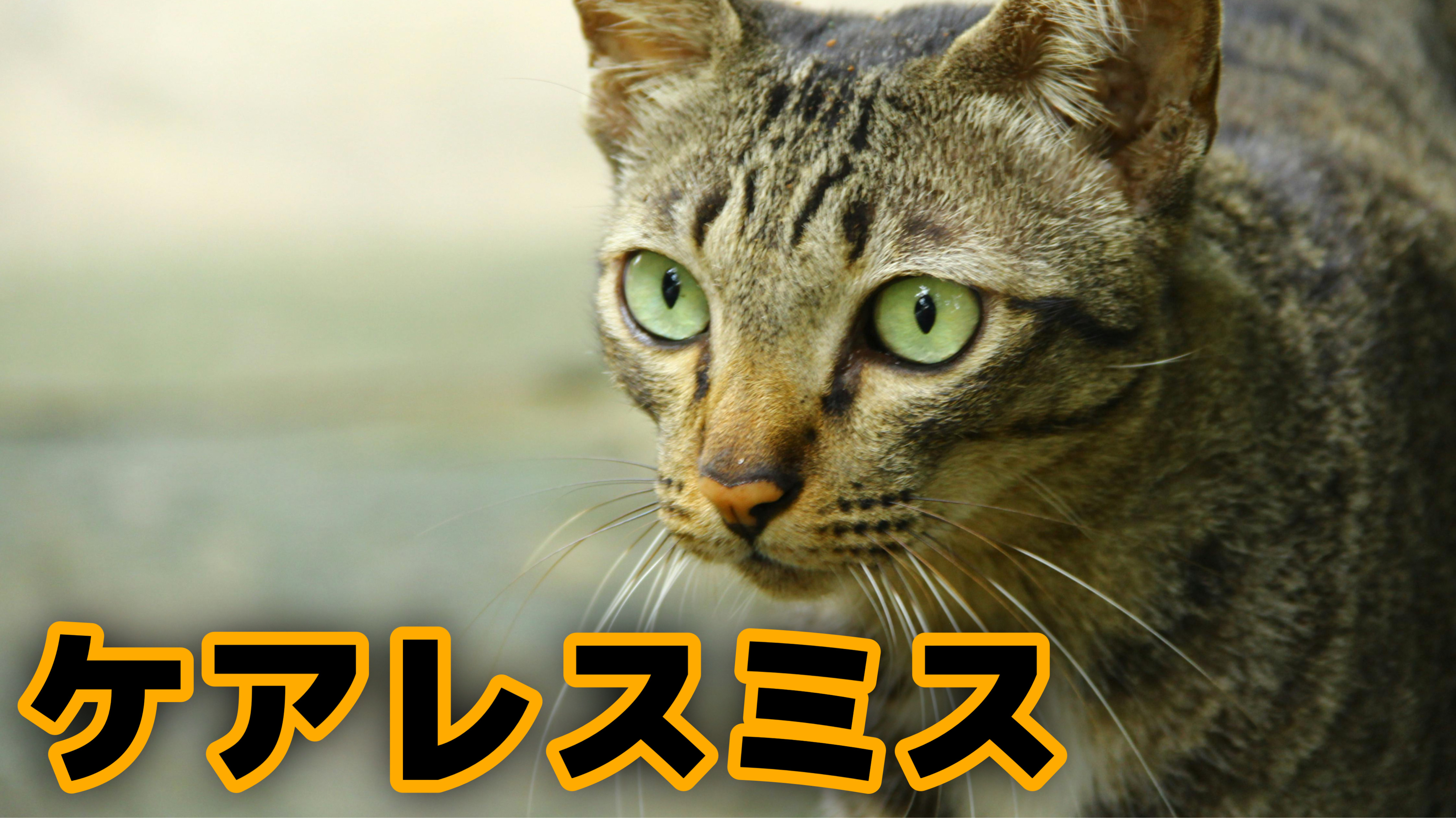 ケアレスミスに逃げるな…！