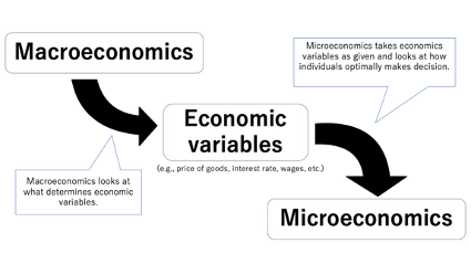 マクロ経済学、ミクロ経済学、macroeconomics、microeconomics