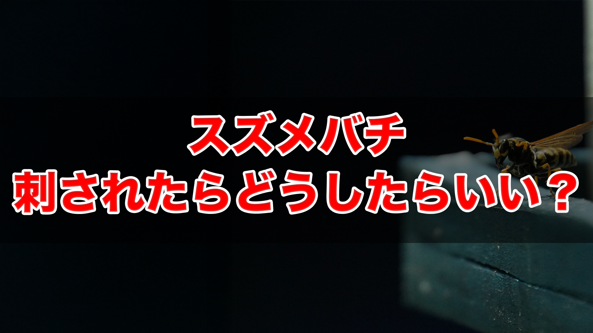 スズメバチに刺されたらどうしたらいい？