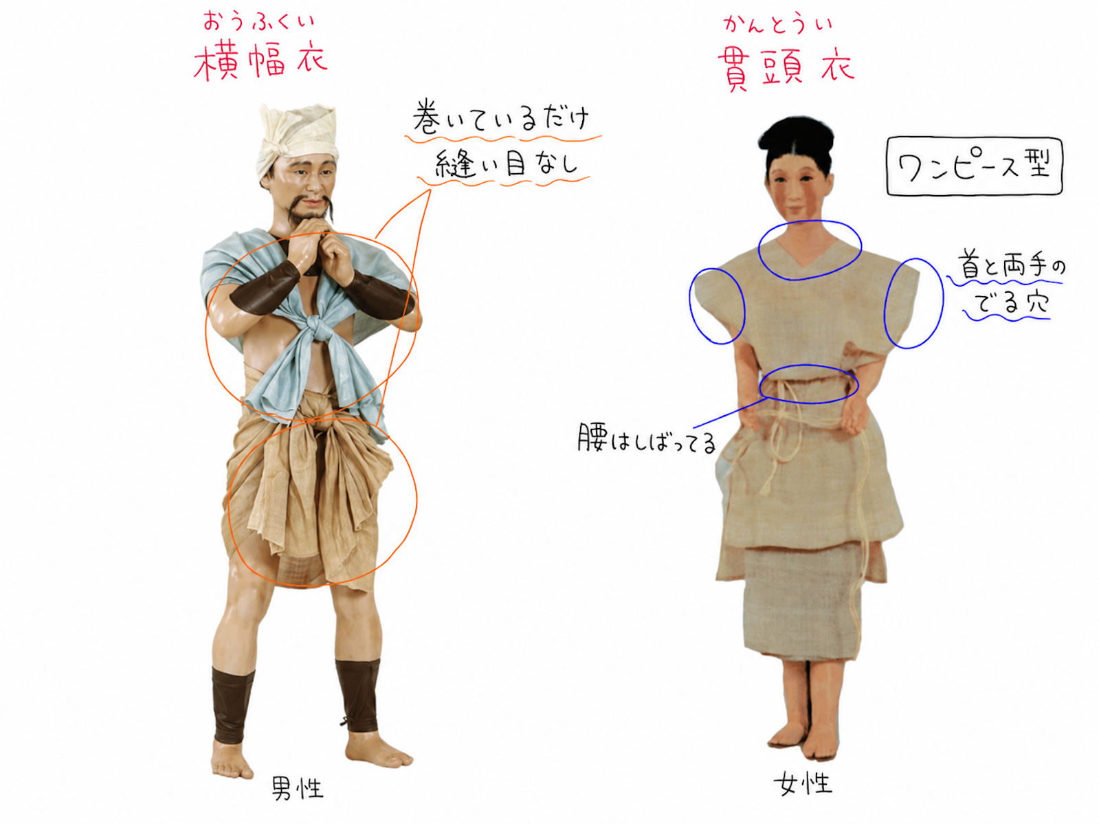 弥生 時代 女性
