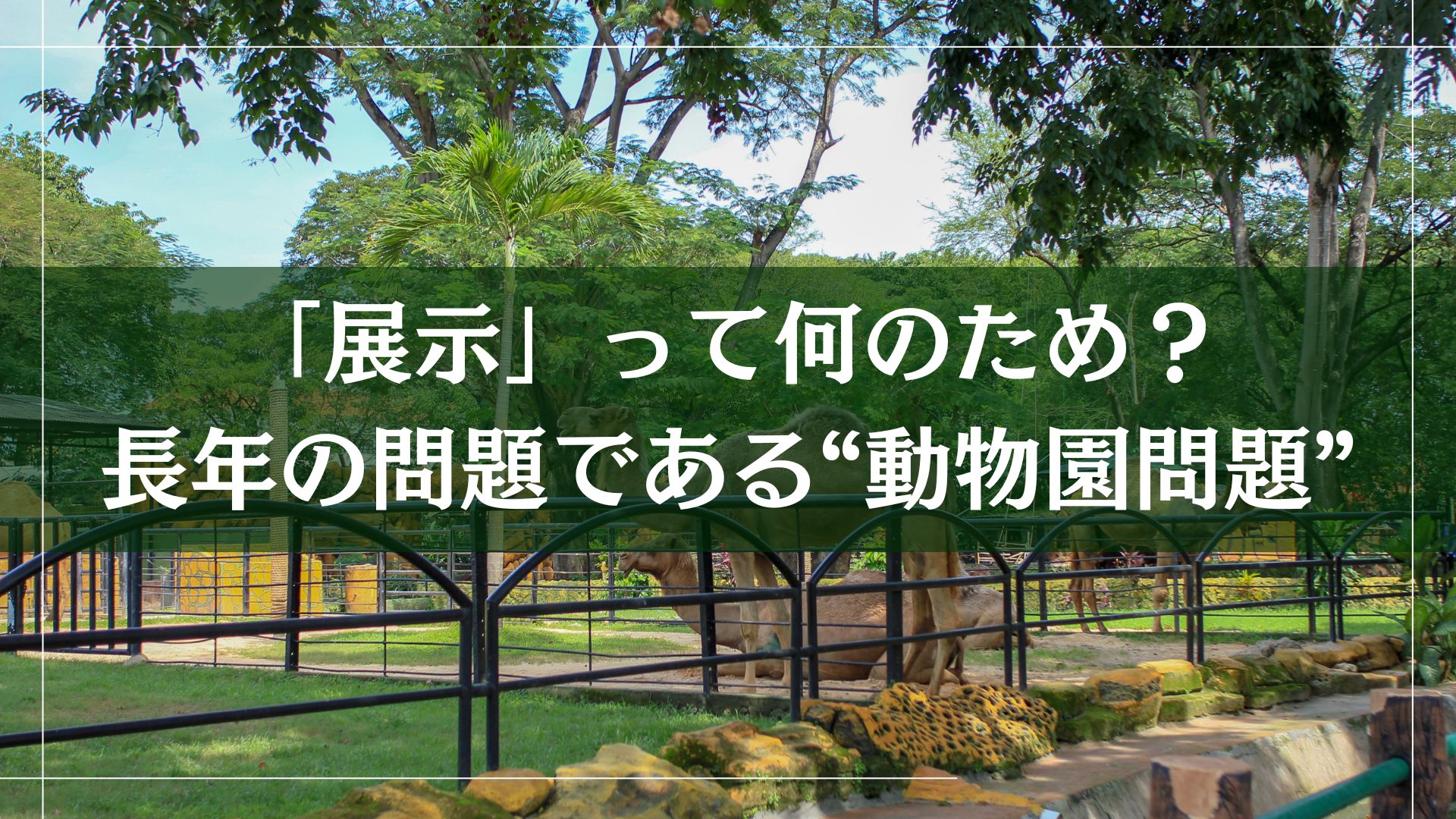 「展示」って何のため？長年の問題である“動物園問題”