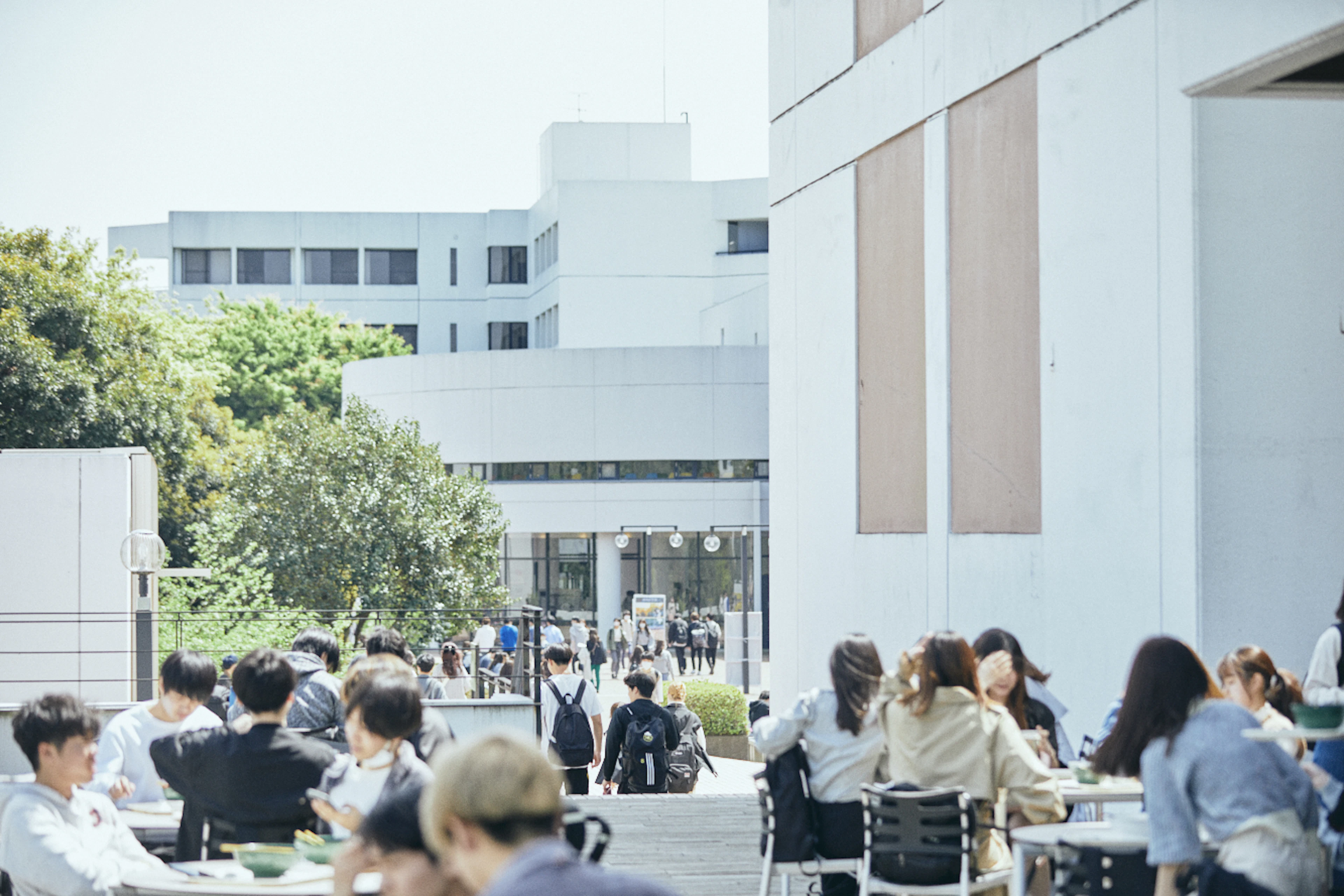 明治学院大学 - 1