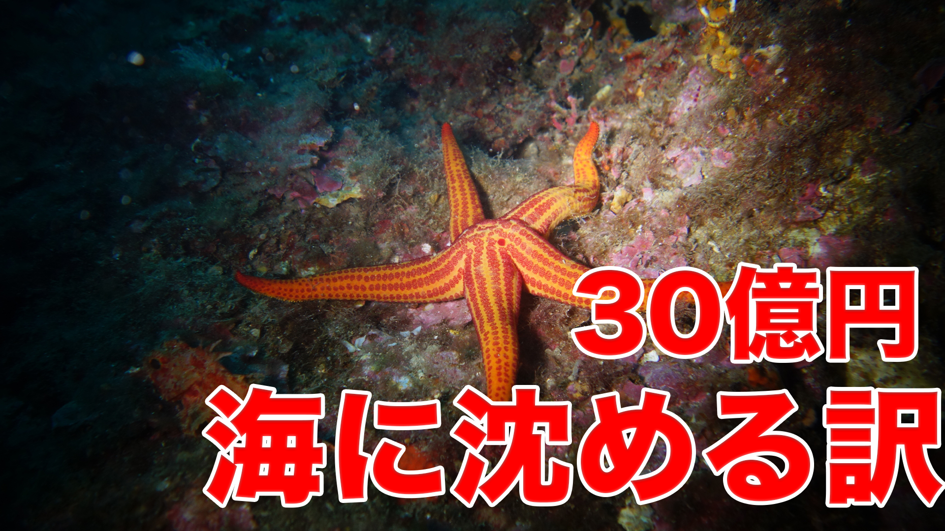 30億円を海に沈める訳