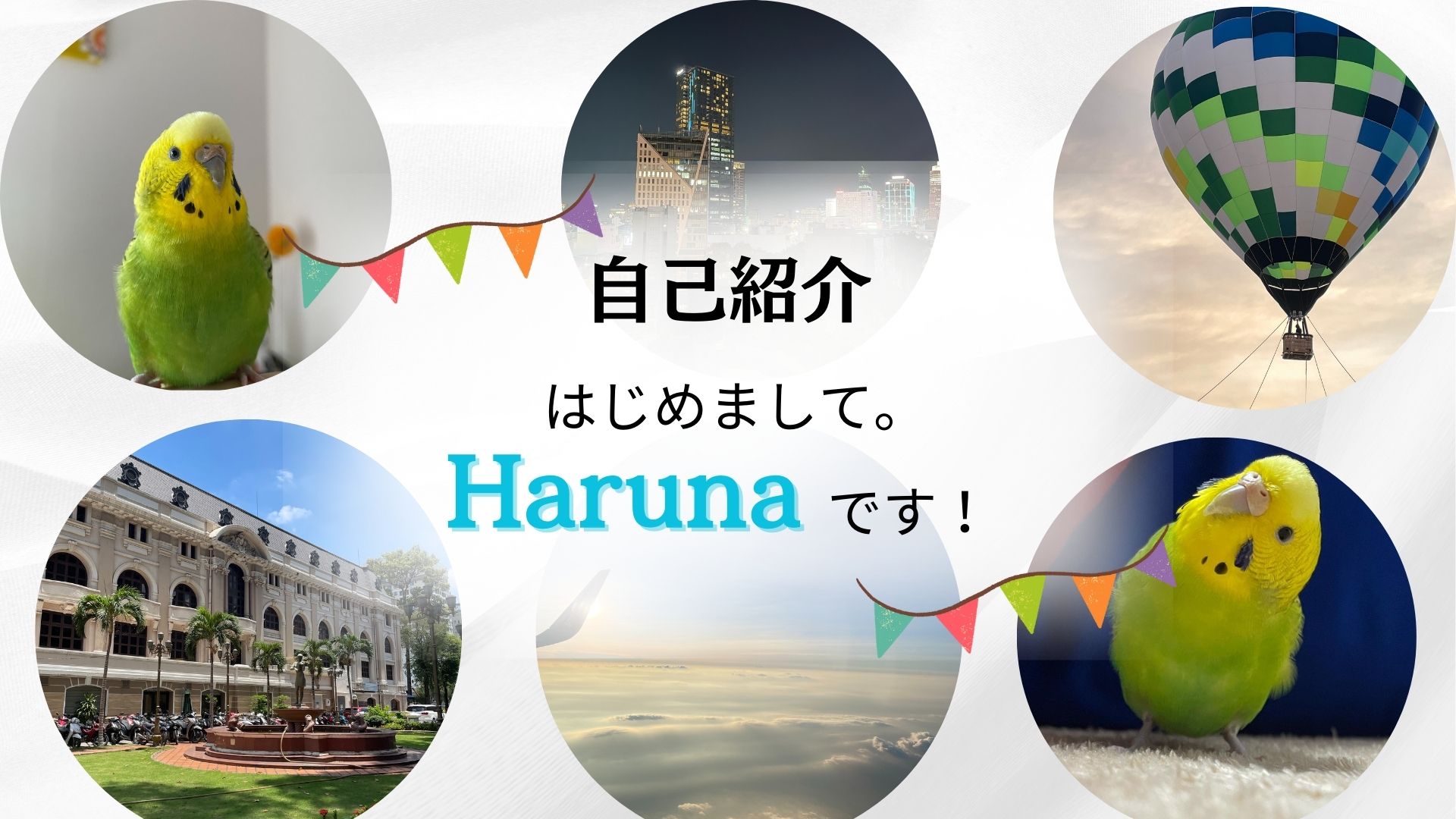 こんにちは！はじめまして、Harunaです。