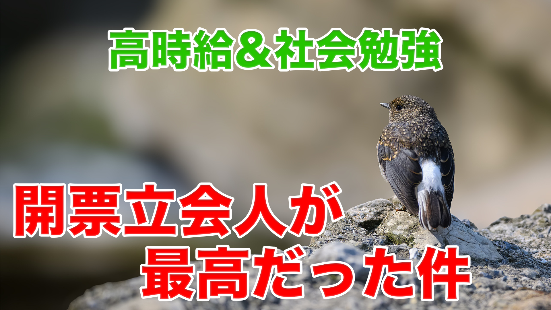 【1万円＆社会勉強】開票立会人って実際どう？ やり方・待遇・本音を暴露