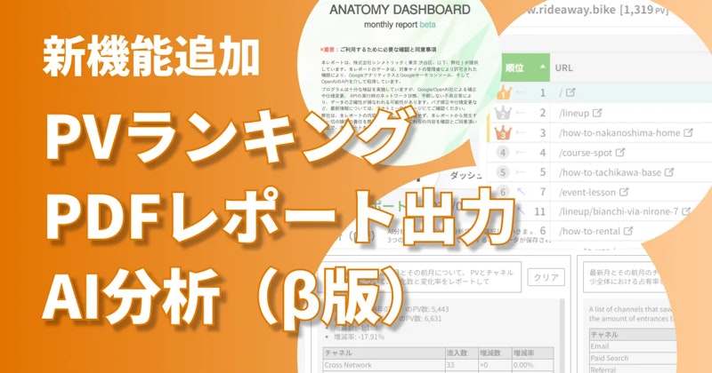 アナトミーがPVランキング、PDFレポート出力、AI分析機能β版を公開