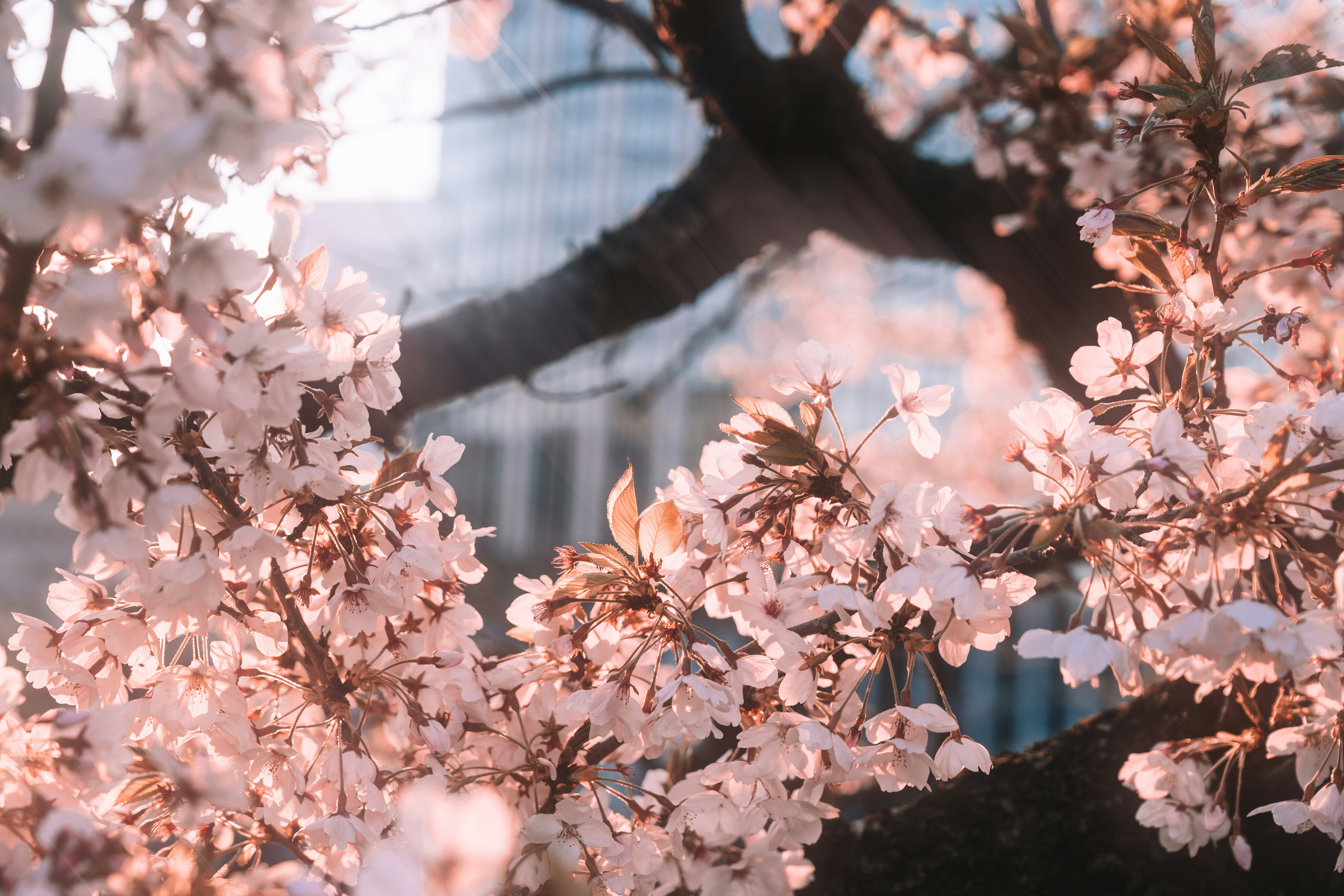 初めてのGAセミナー