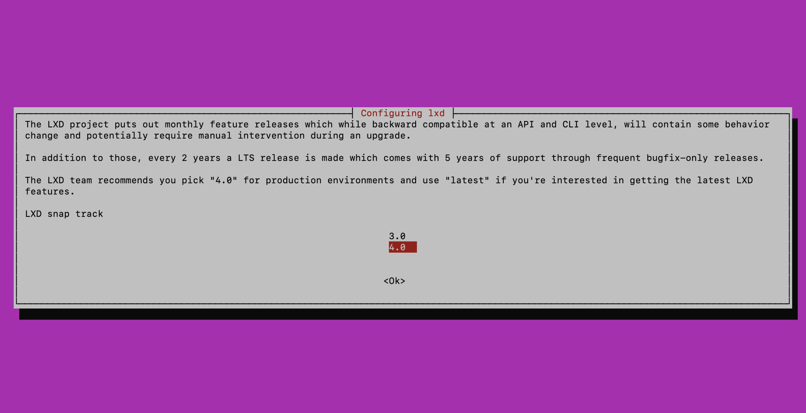 ubuntuアップグレード時の対話画面キャプチャ