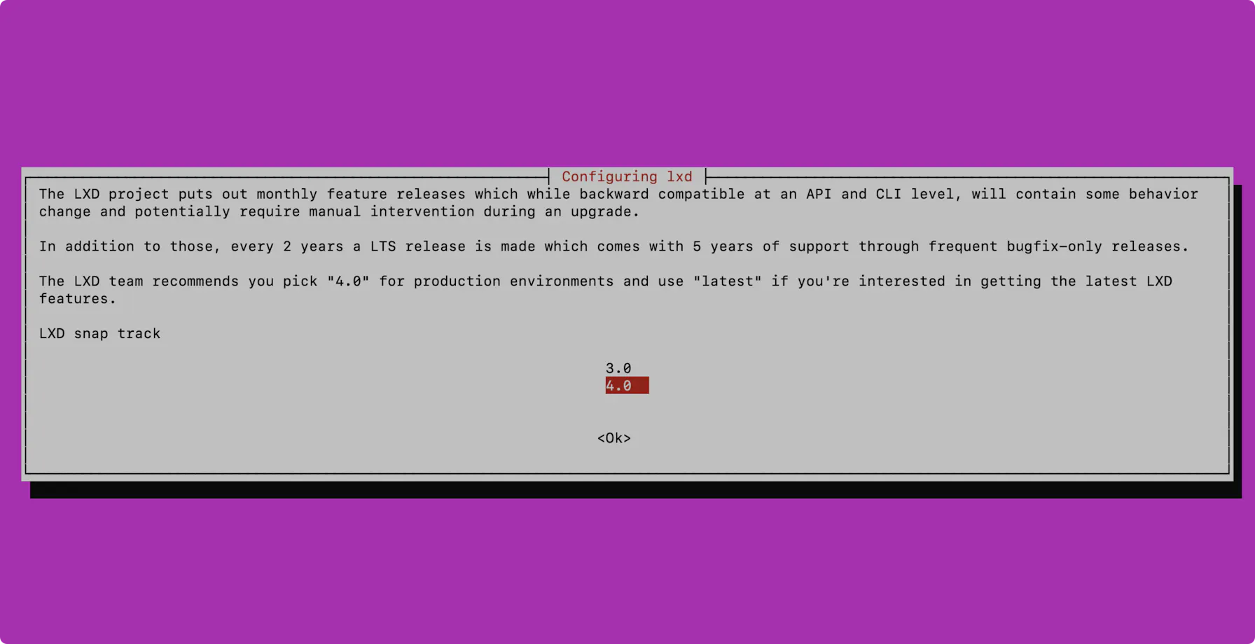 ubuntuアップグレード時の対話画面キャプチャ