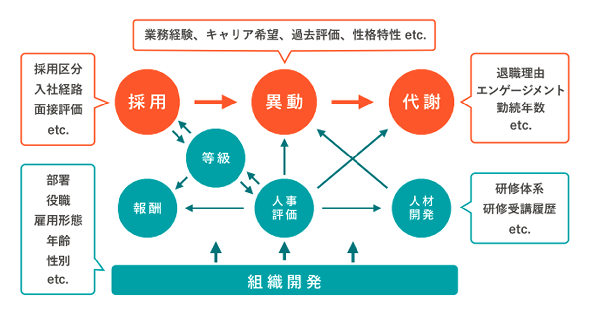 採用、異動、代謝のサイクルを中心に、等級、報酬、人事評価、人材開発、組織開発が相互に連携する人事システムの全体構造図