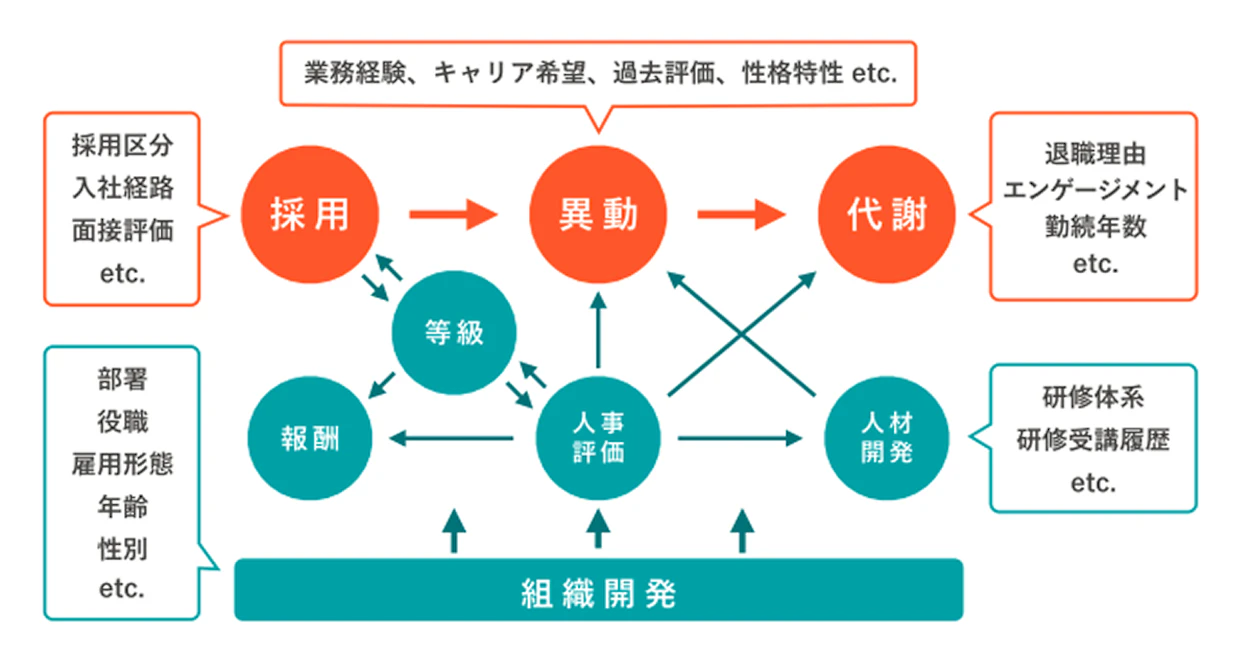 採用、異動、代謝のサイクルを中心に、等級、報酬、人事評価、人材開発、組織開発が相互に連携する人事システムの全体構造図