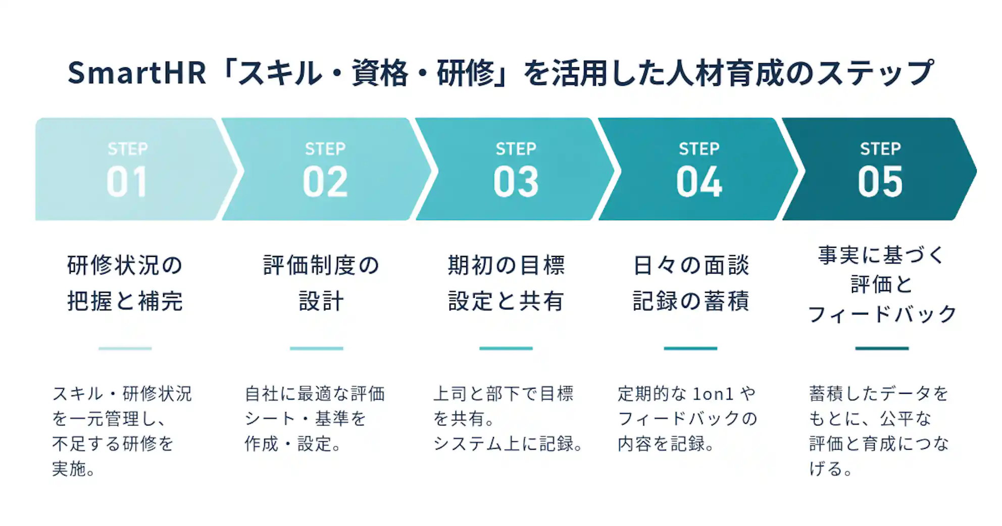 SmartHR「スキル・資格・研修」を活用した人材育成のステップ図。STEP1「研修状況の把握と補完」、STEP2「評価制度の設計」、STEP3「期初の目標設定と共有」、STEP4「日々の面談記録の蓄積」、STEP5「事実に基づく評価とフィードバック」という5段階の流れと、各ステップの具体的な内容が示されている。