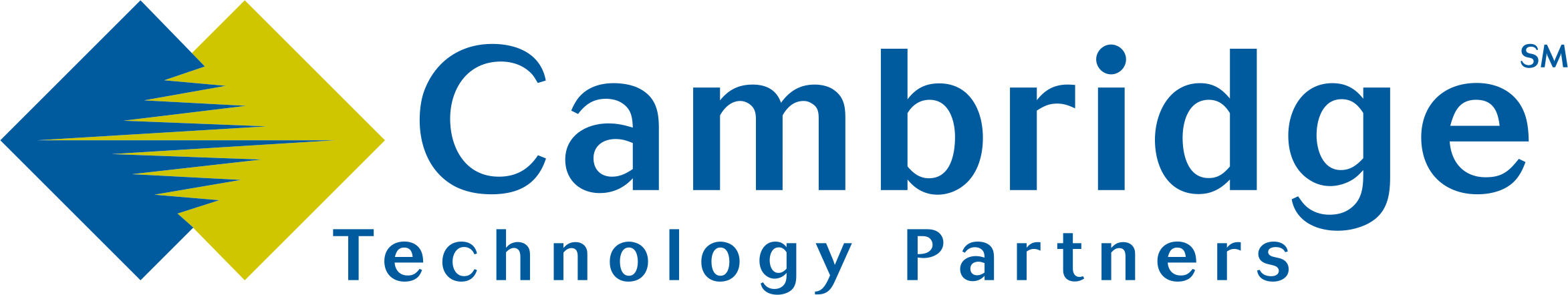  ケンブリッジ・テクノロジー・パートナーズ株式会社