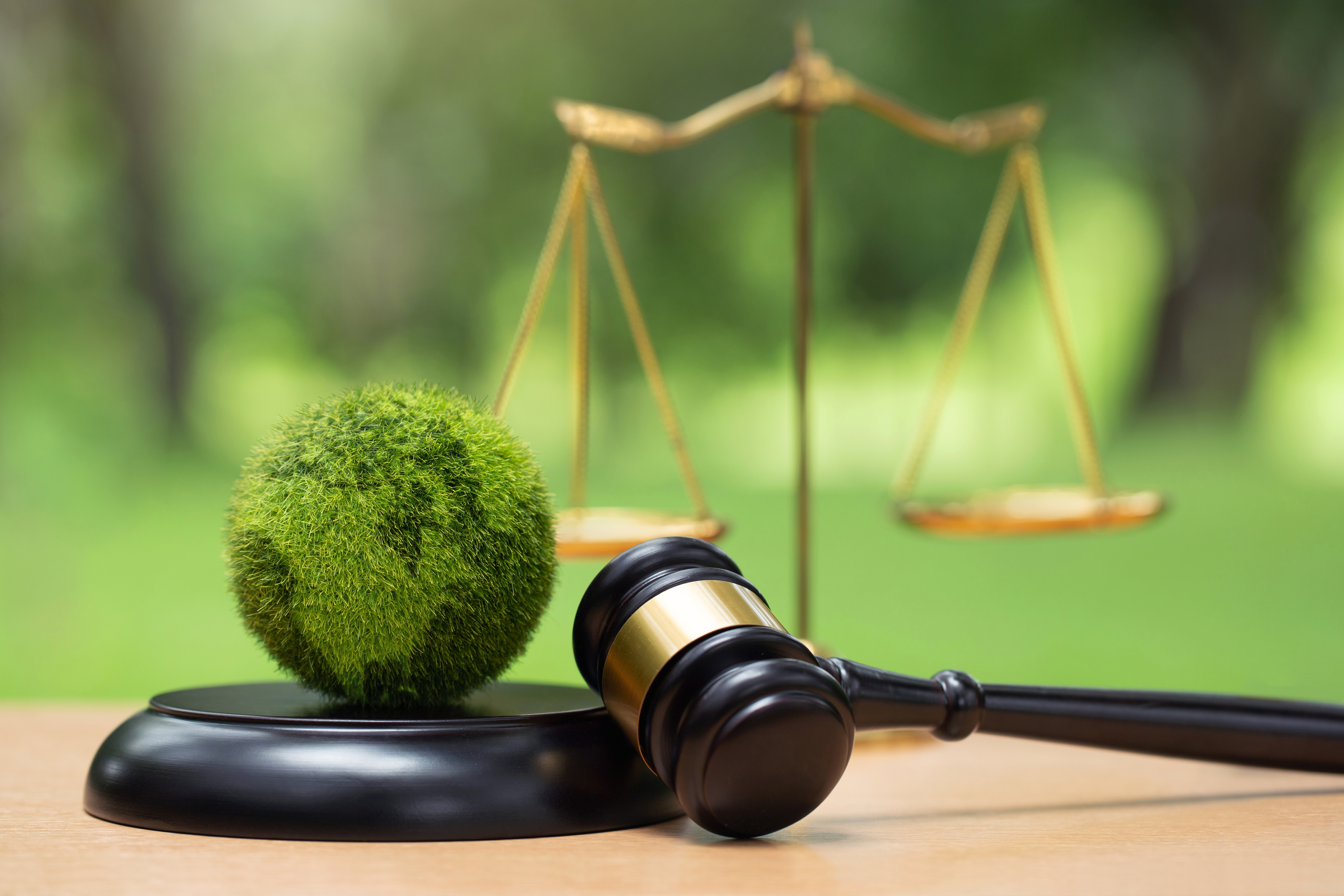 緑豊かな背景の机の上に置かれた、裁判官の木槌、丸い苔玉、および金色の天秤