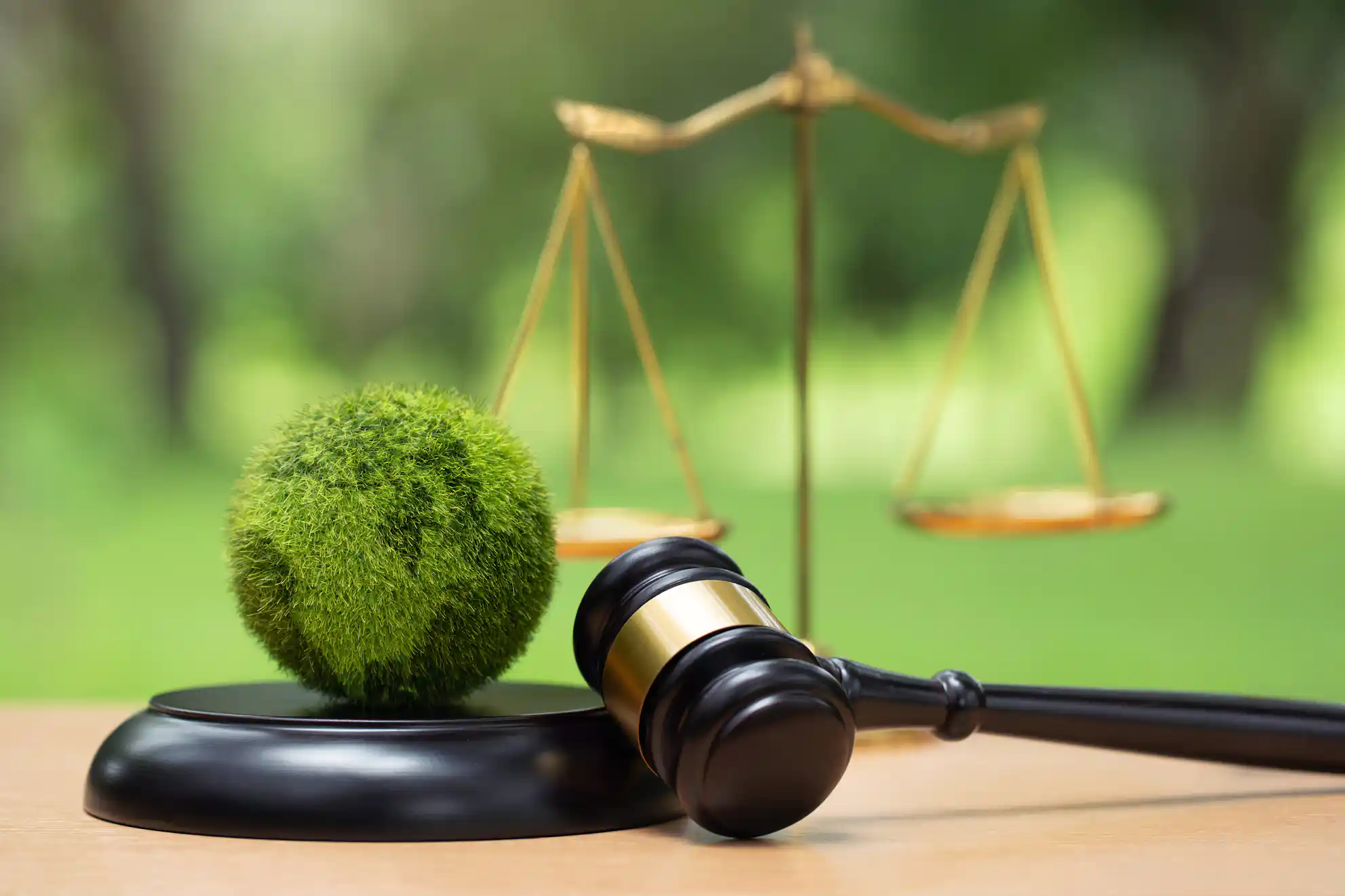 緑豊かな背景の机の上に置かれた、裁判官の木槌、丸い苔玉、および金色の天秤
