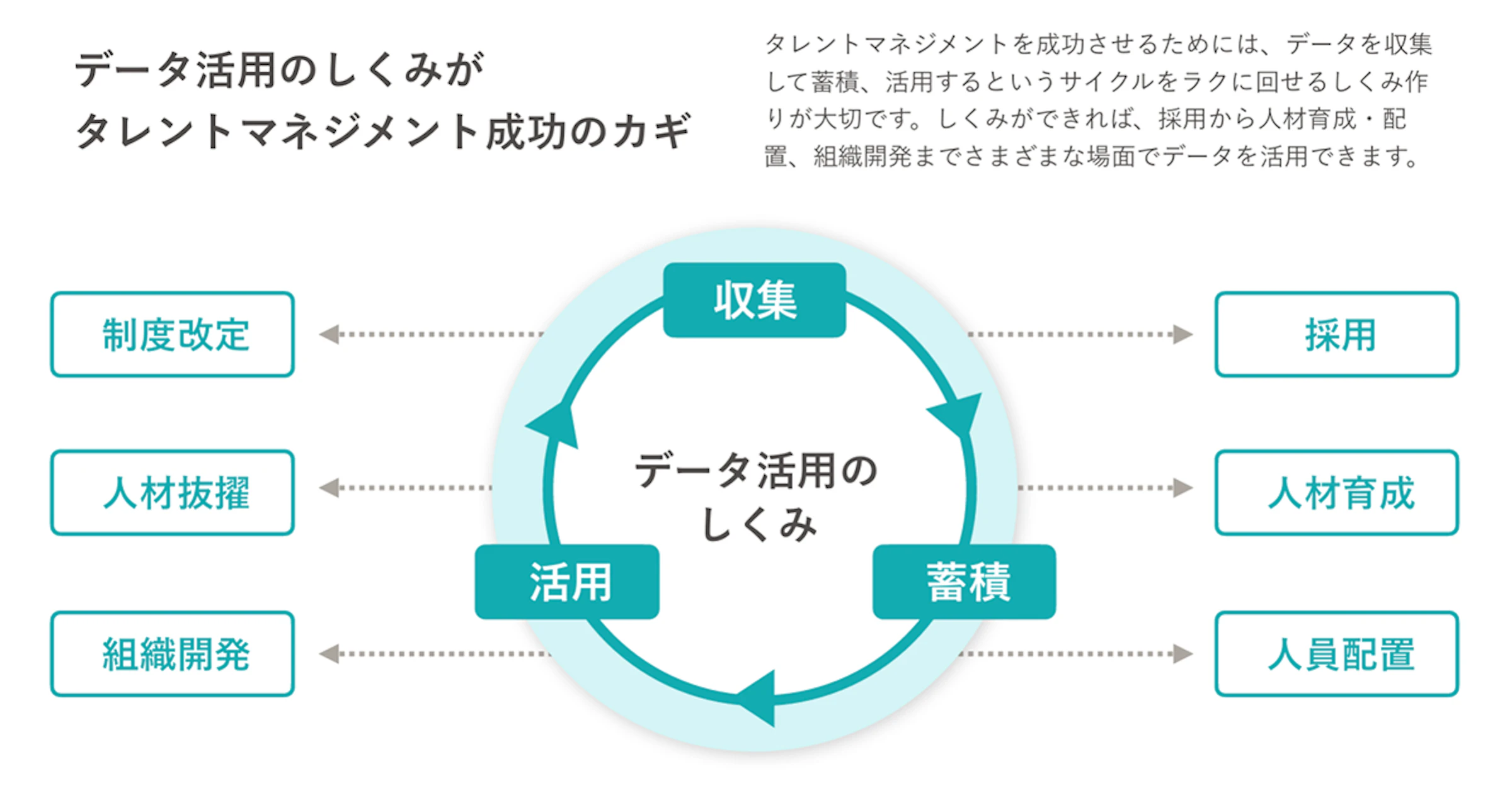 タレントマネジメント成功のカギとなる「データ活用のしくみ」のサイクル図。収集、蓄積、活用が循環し、採用、人材育成、人員配置、制度改定、人材抜擢、組織開発と連携している