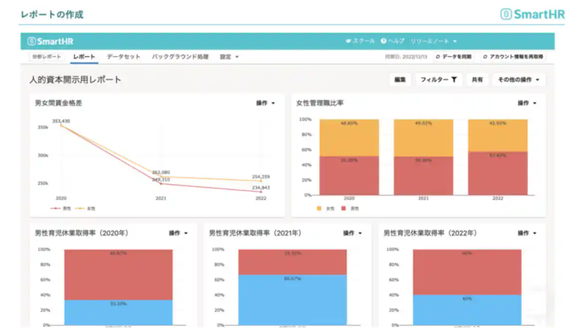 人的資本開示用レポートご利用イメージ