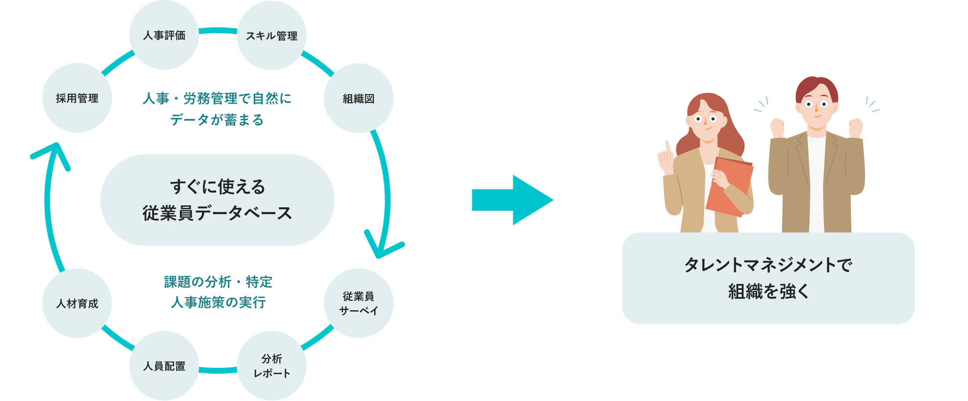 SmartHRで行えるタレントマネジメントの俯瞰図。SmartHR上に蓄積された従業員データベースを土台として従業員からの情報収集・分析・人員配置・人材育成などの人事施策のサイクルを生み出すことで組織を強くする。