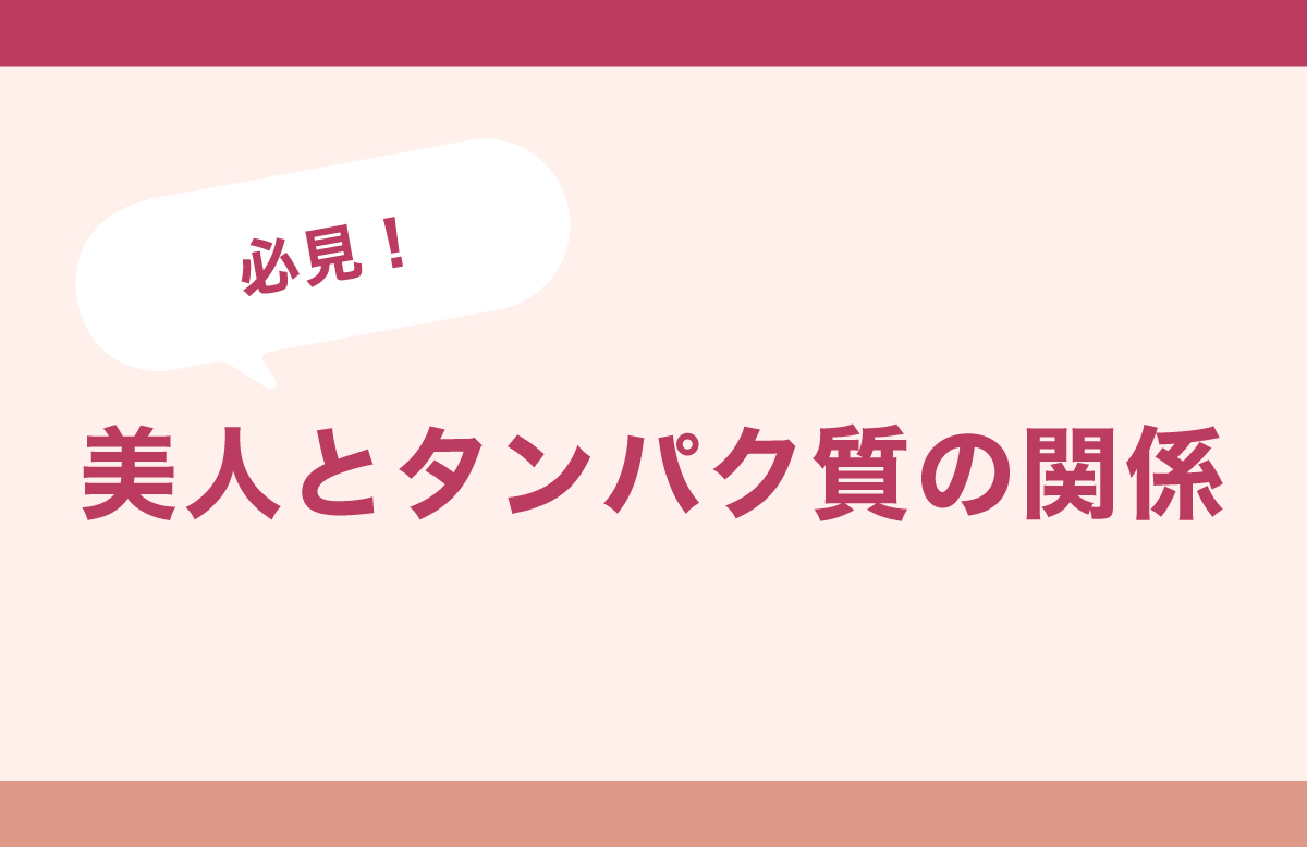 美人とタンパク質の関係
