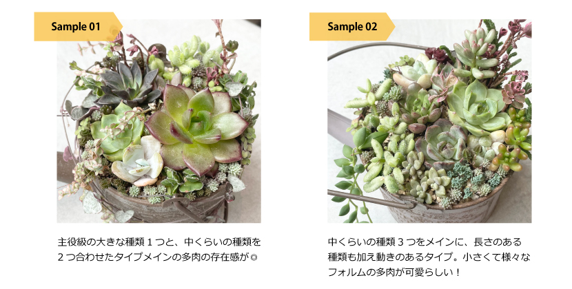 PLUS STYLE SALON vol.13 あつまる、彩る、私のユニーク。 大人のため
