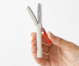 フィットカットカーブ ツイッギー キャップレス」を発売｜PLUS