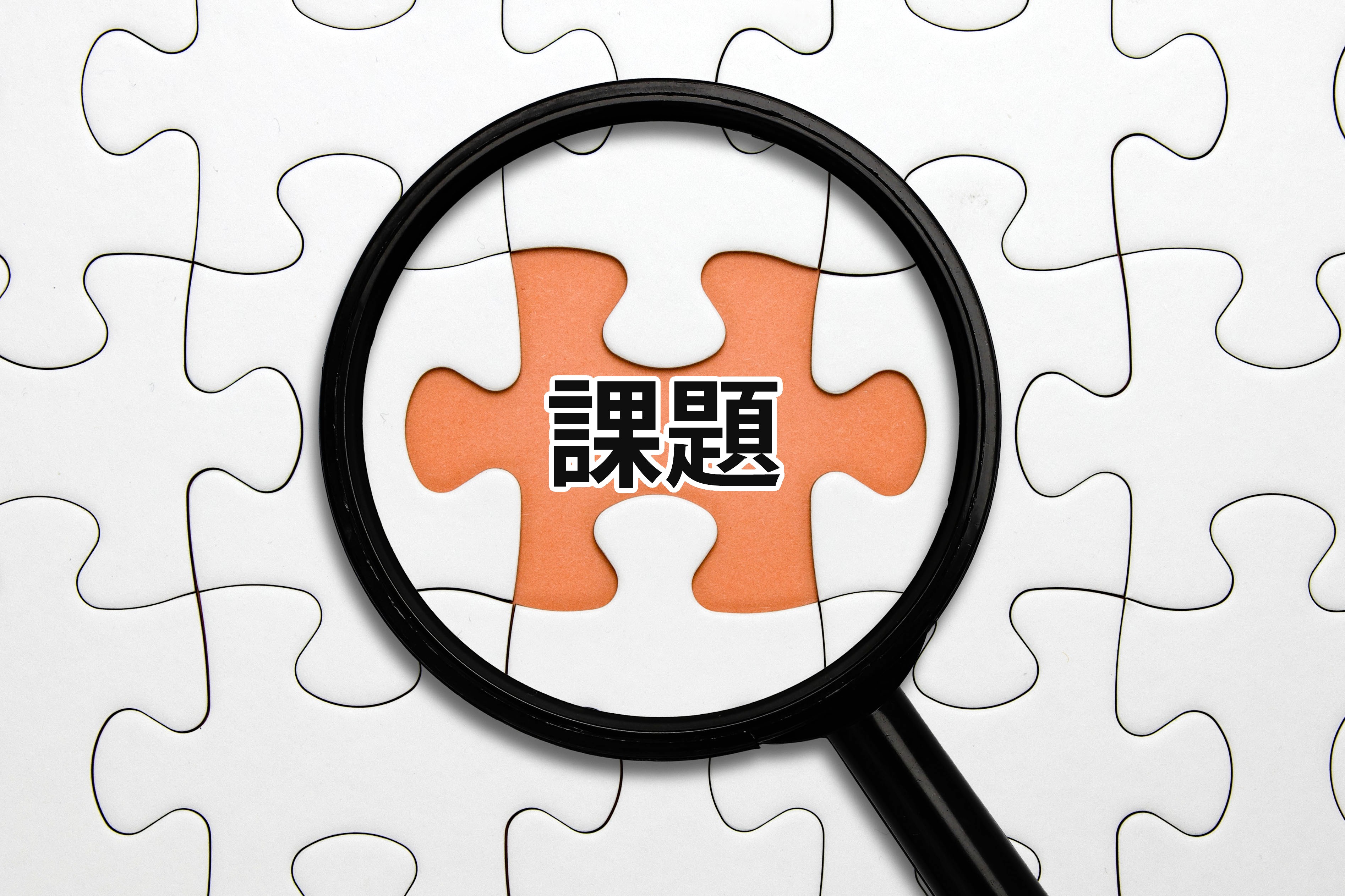 訪問診療の効率と質を最大化。多職種連携の課題解決と成功のポイント