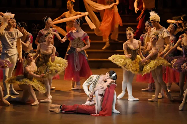 運命が織りなす古典と現代のダブル•ビルの公演写真