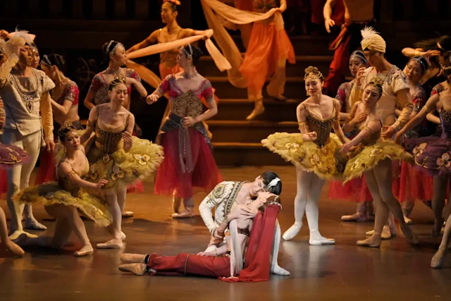 運命が織りなす古典と現代のダブル•ビルの公演写真