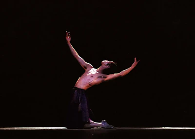 「ラ・シルフィード」他 - 写真 4