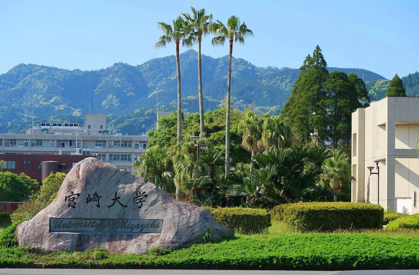 東京慈恵会医科大学(医学部〈医学科〉) 日本医科大学、自治医科大学（医学部） 日本医科大学TOP10，第1名实力最强淘汰率也最高！ - 知乎