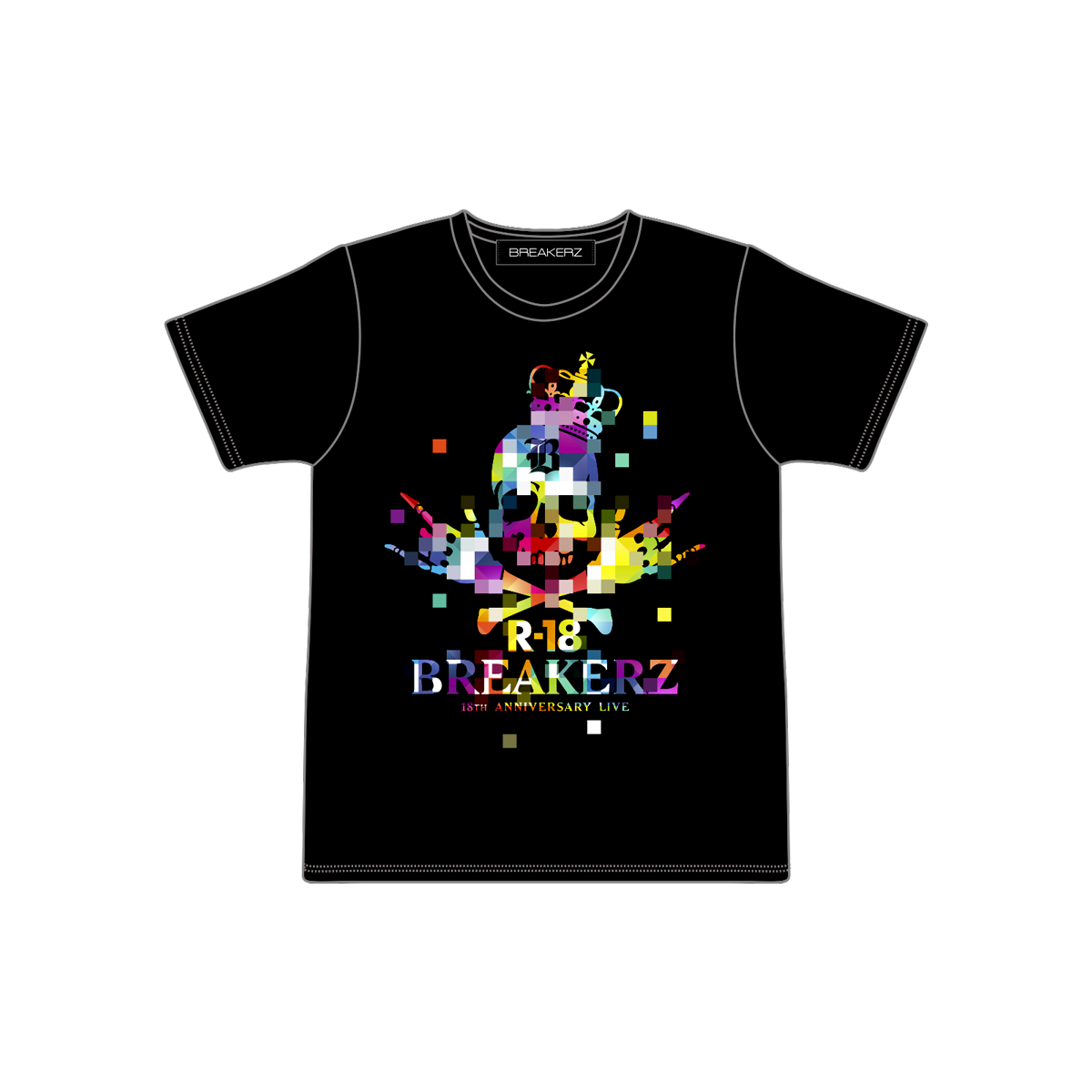R-18 BIG Tシャツ