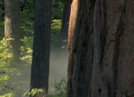 ルック1のイメージ画像2