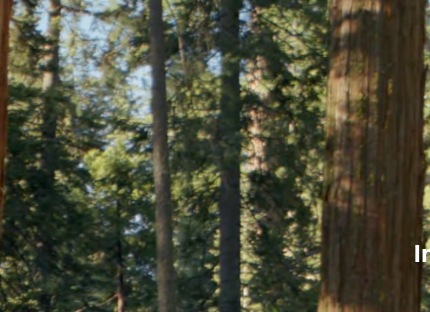 ルック1のイメージ画像1