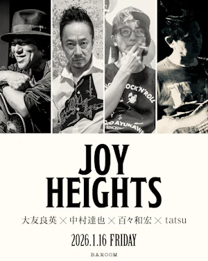 JOY HEIGHTS