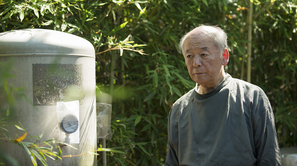 自然の色を染める　吉岡幸雄 自然の色を染める 家庭でできる植物染 | 吉岡 幸雄, 福田 伝士