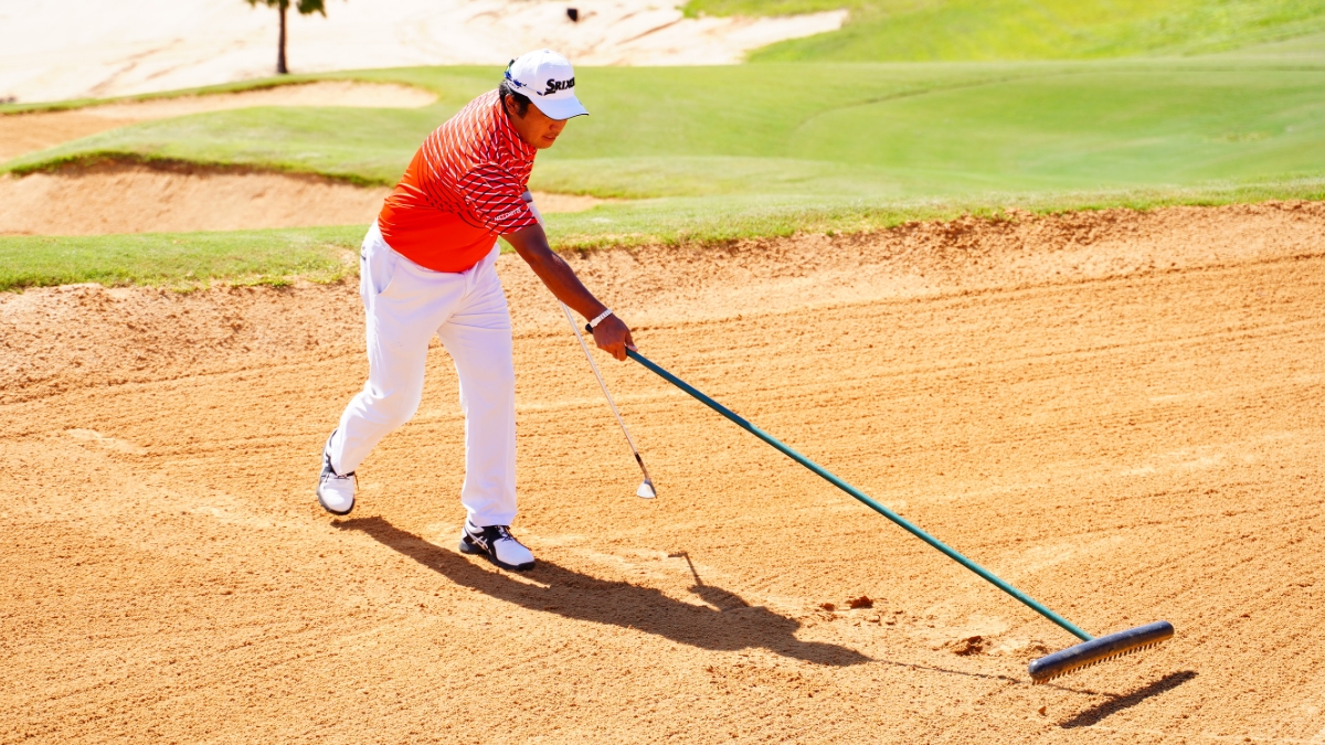 LEXUS - 記事 | LEXUS NEWS