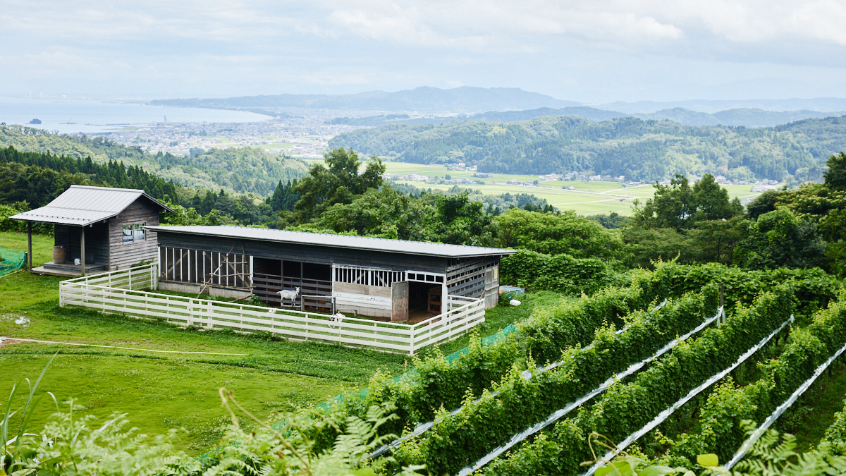 LEXUS - 記事 | LEXUS NEWS