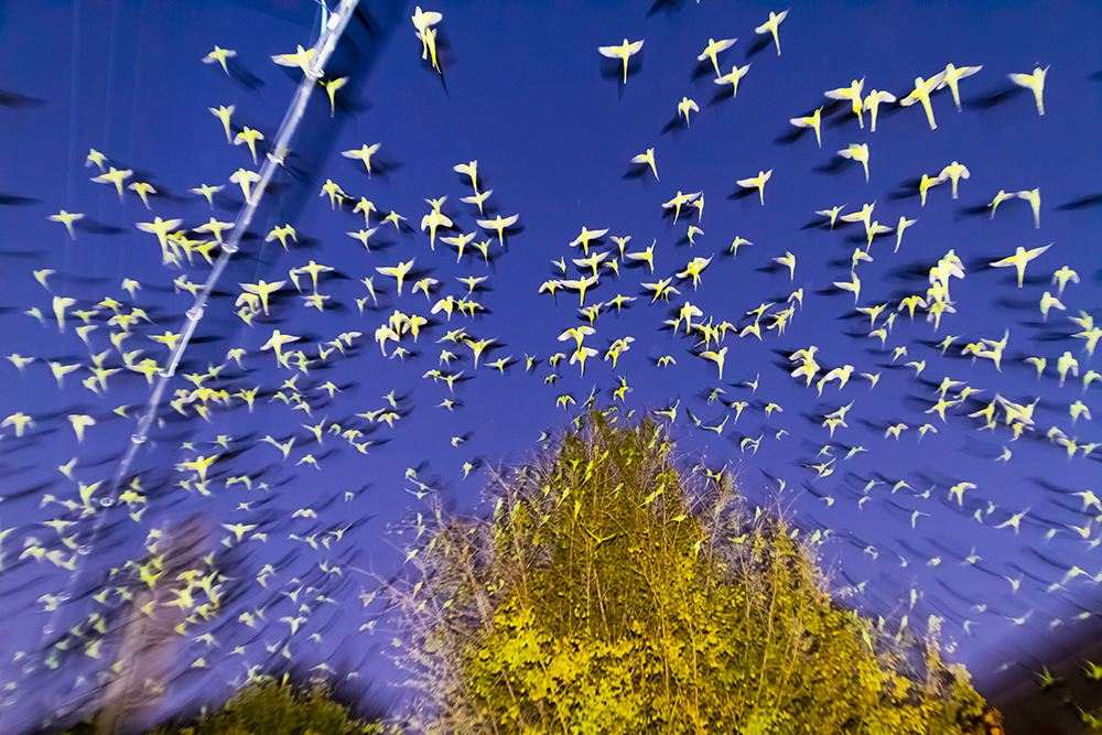 LEXUS - 記事 | LEXUS NEWS