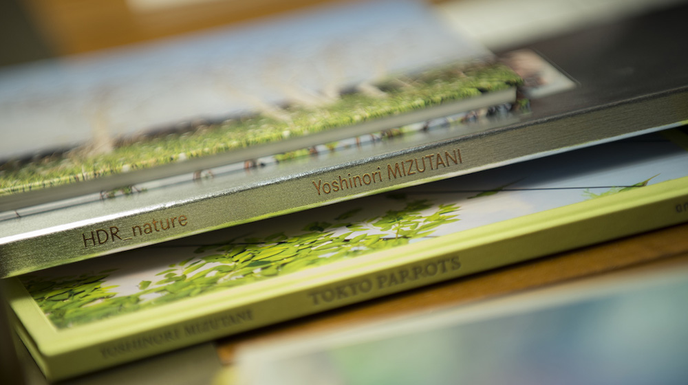 LEXUS - 記事 | LEXUS NEWS